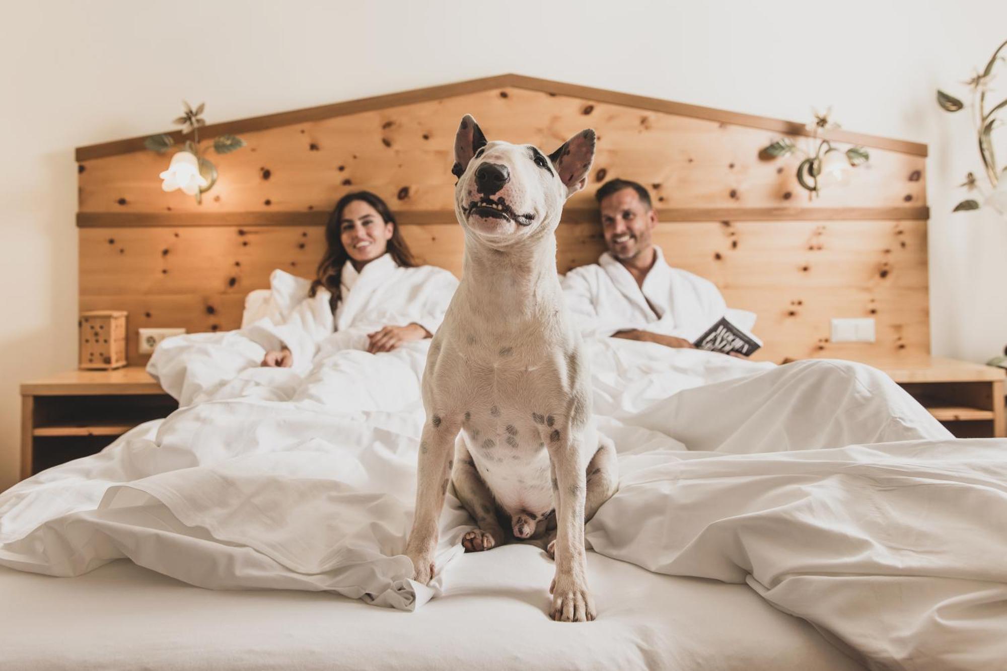Seehotel Jaegerwirt Turracher Hoehe Luaran gambar